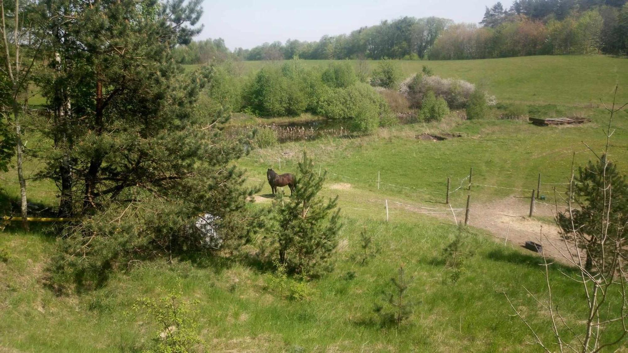 Domek Zielenina Villa Mierzeszyn Exterior foto